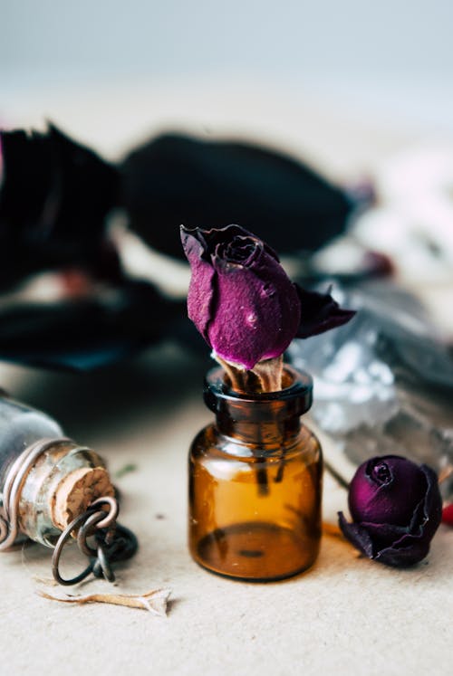 Dried rose placed in small glass jar