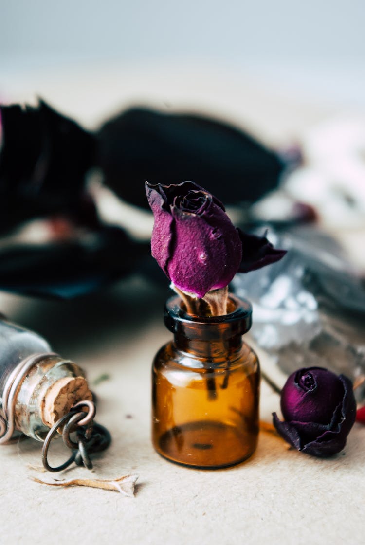 Dried Rose Placed In Small Glass Jar