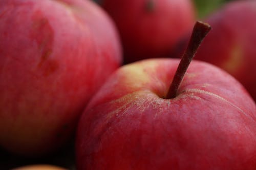 Free Close-Up View of Red Apples Stock Photo