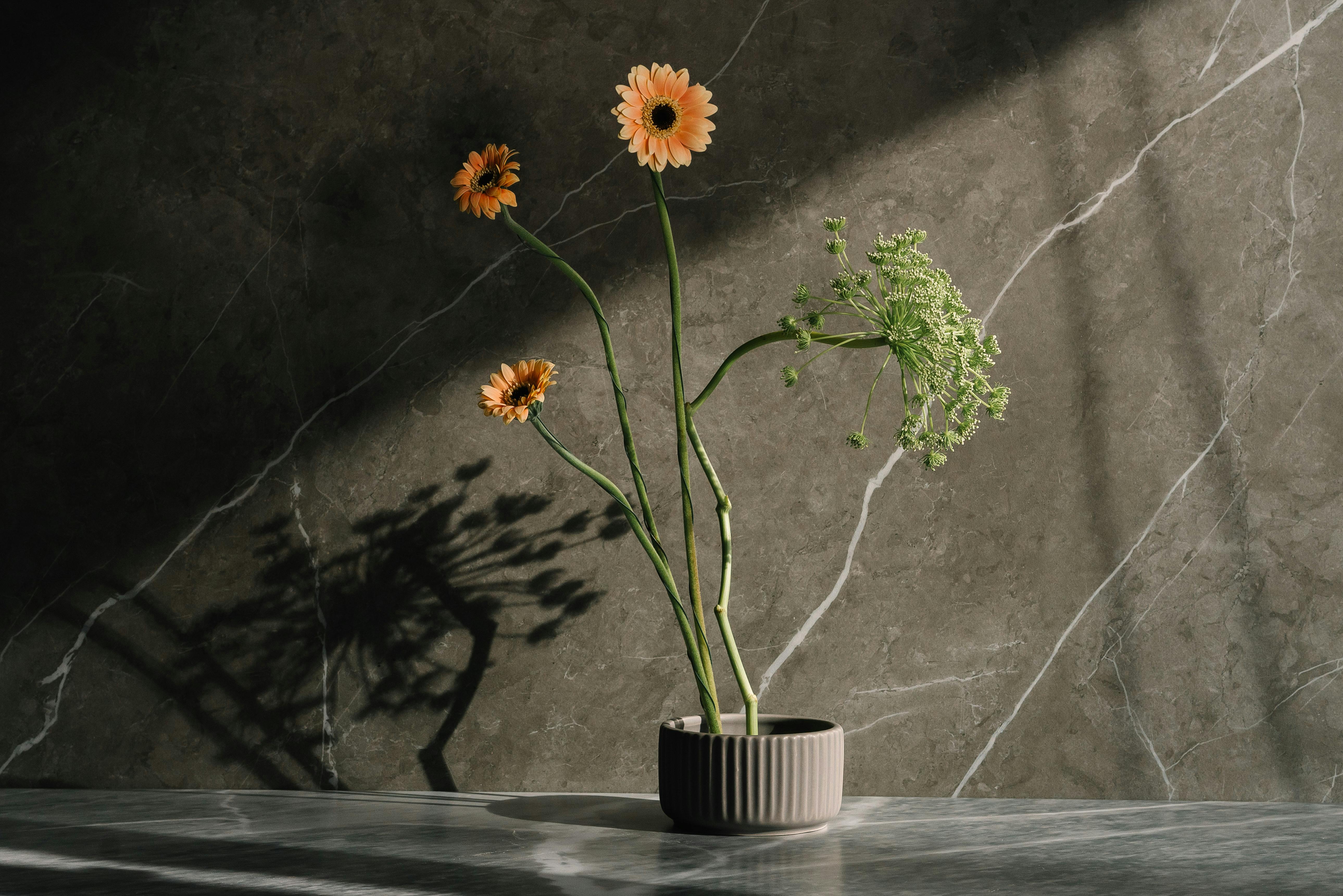 Yellow Flowers in White Ceramic Vase · Free Stock Photo