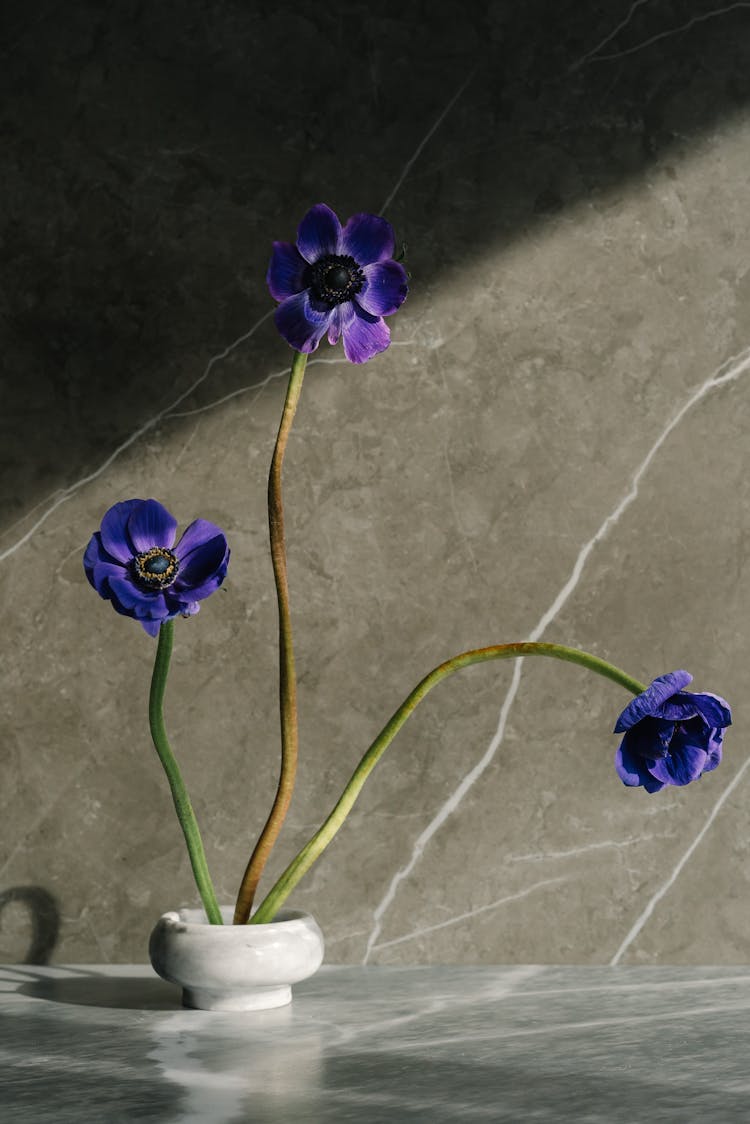 A Purple Flowers On A Ceramic Vase