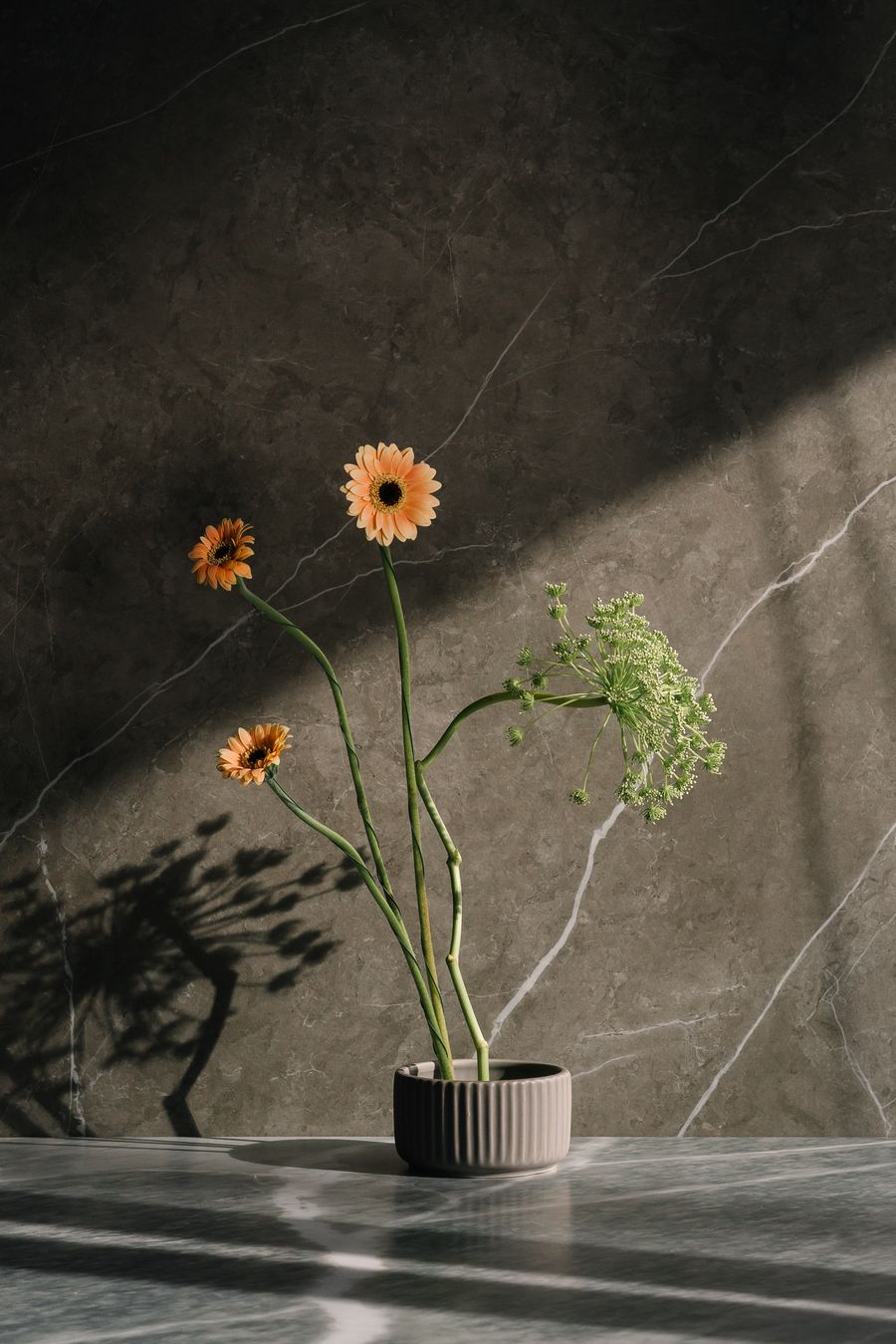 Bright celebration flowers