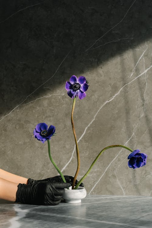 A Person Wearing Black Gloves Holding a Ceramic Vase with Flowers