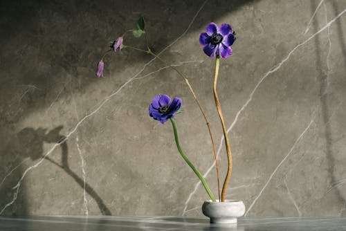 灰色のセラミック花瓶に紫色の花