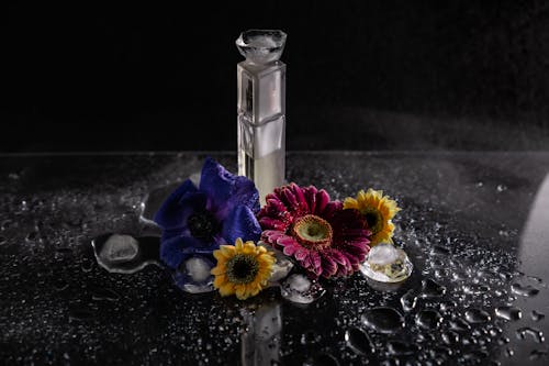 Foto stok gratis basah, botol parfum, bunga-bunga