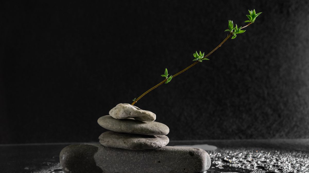 Rituels naturels pour se ressourcer