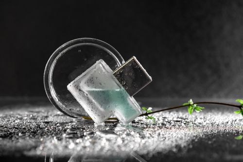 Free Artistic composition of glass objects with water droplets and plant stem on reflective surface. Stock Photo