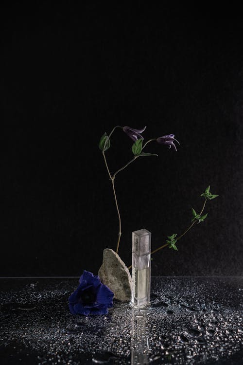 bitkiler, cam masa, çiçek içeren Ücretsiz stok fotoğraf