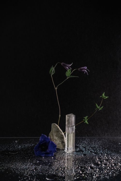 Free Elegant arrangement of a flower, rock, and glass on a reflective surface with a dark background. Stock Photo