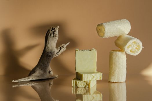 Soap and Loofah Scrubber