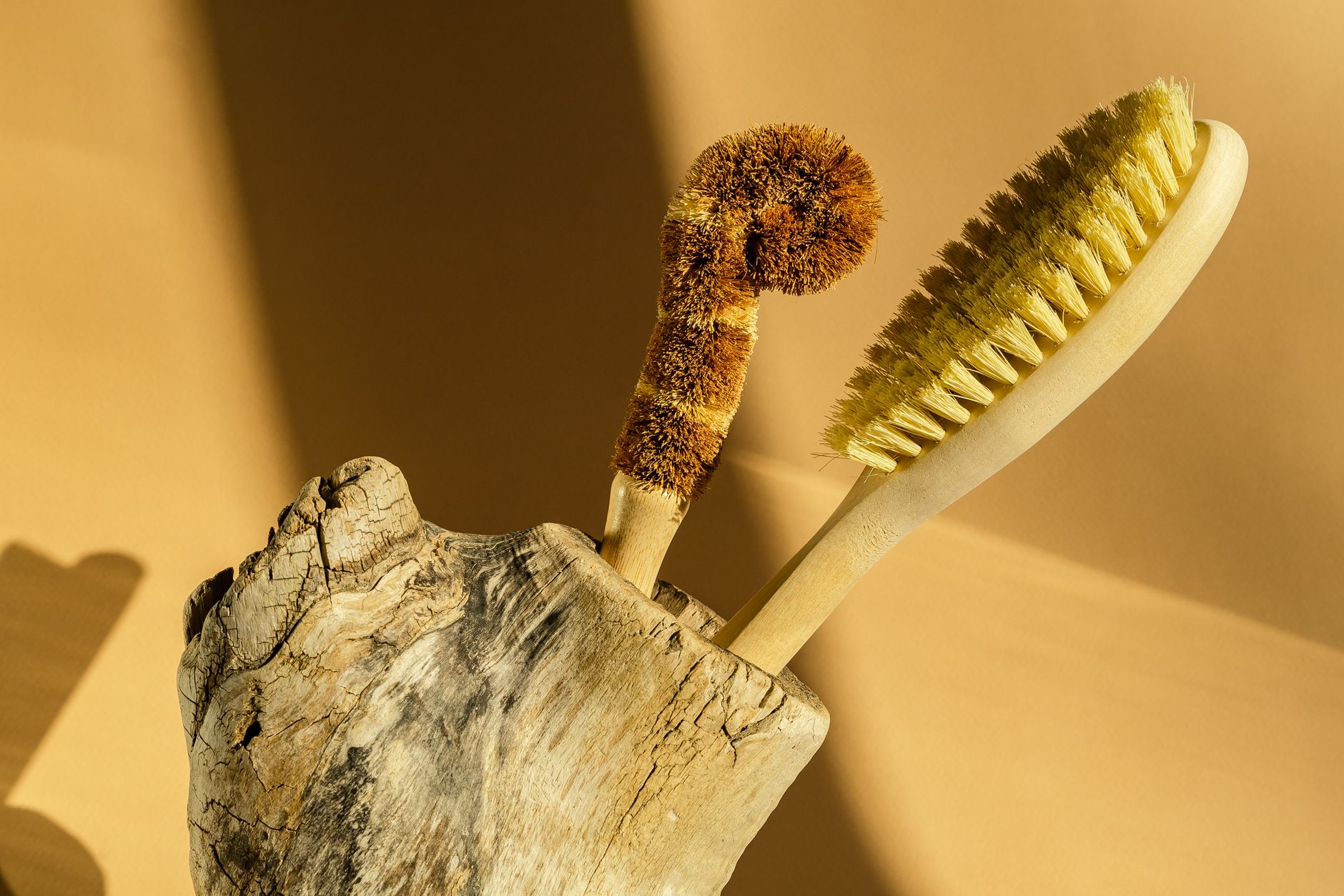Minimalist still life with eco-friendly cleaning brushes in driftwood holder on warm background.