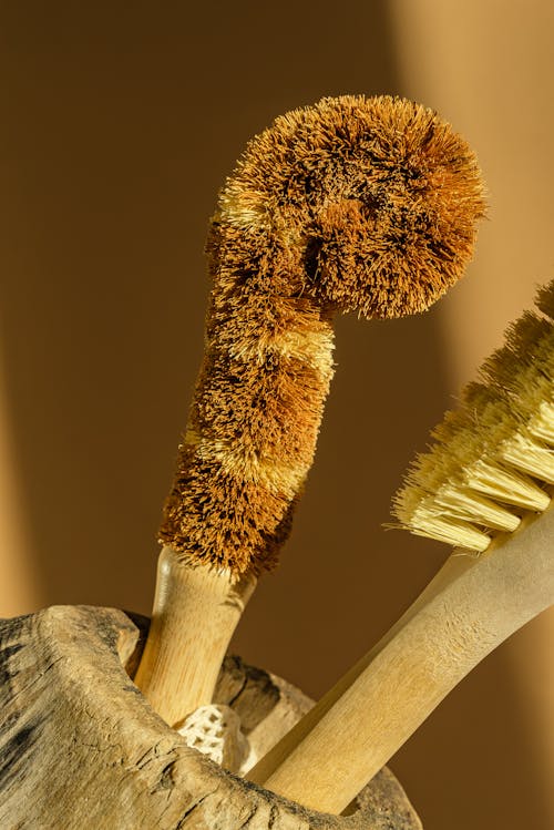 Cleaning Brushes on a Wood