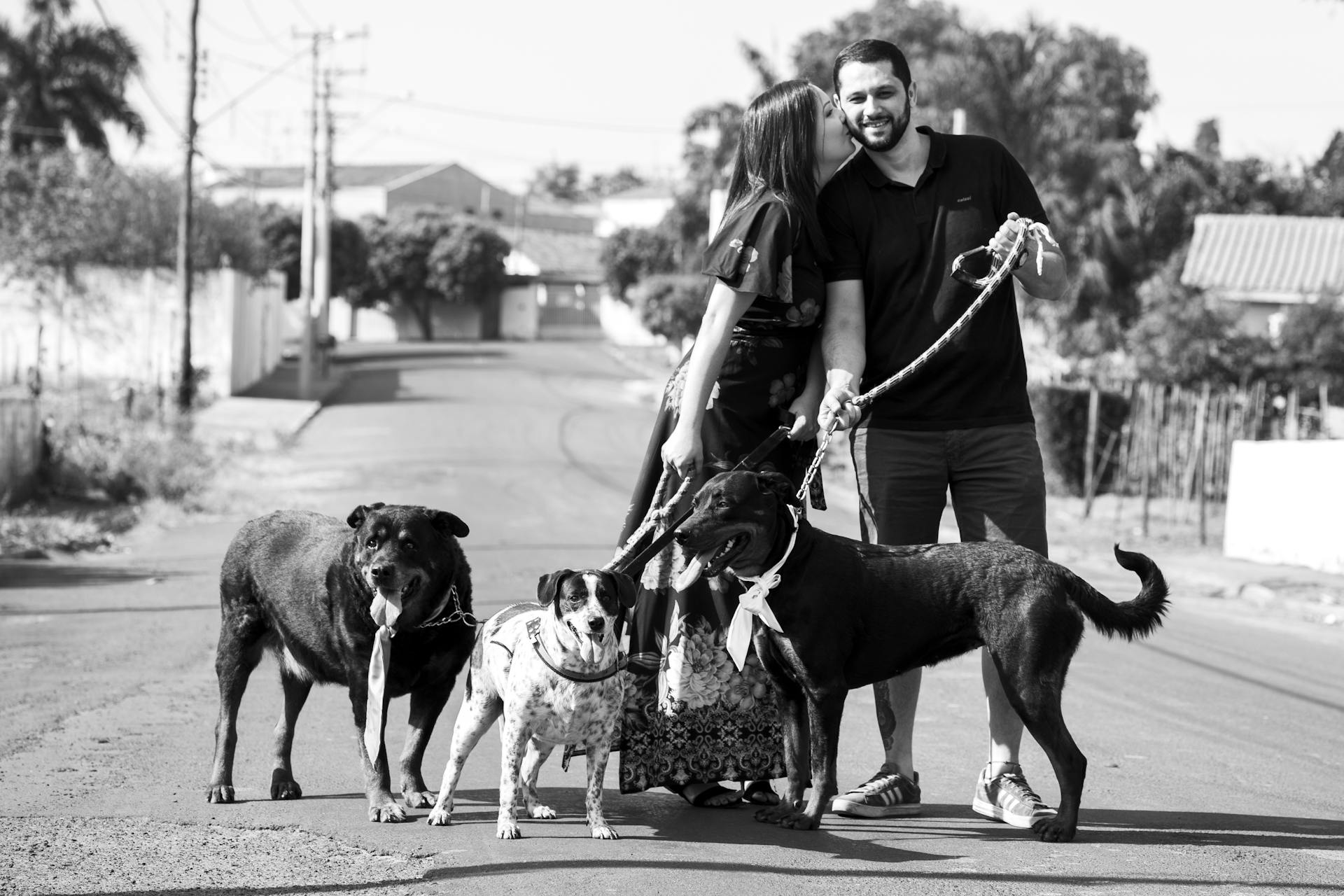 Grayscale Photo of Woman Kissing A Man While Walking The Dogs On The Street