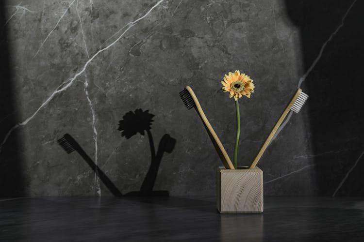 Toothbrushes And Sunflower On A Holder