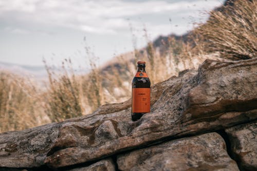 Free Photo of a Beer Bottle on a Rock Stock Photo