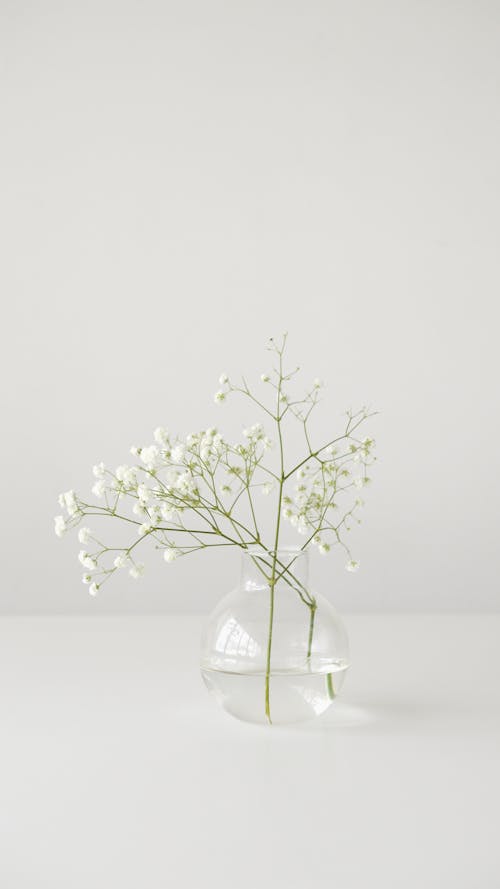 White Small Flowers in Clear Glass Vase