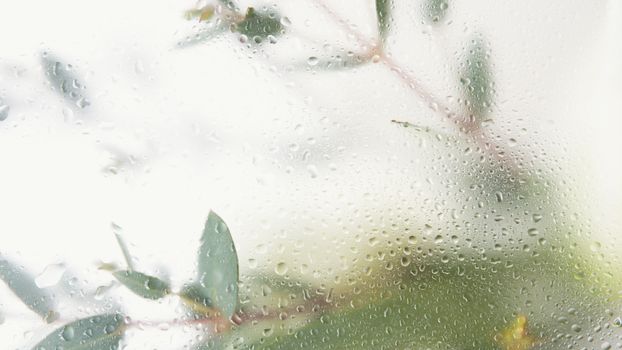 Artistic close-up of water droplets on a glass window with blurred green leaves in the background.