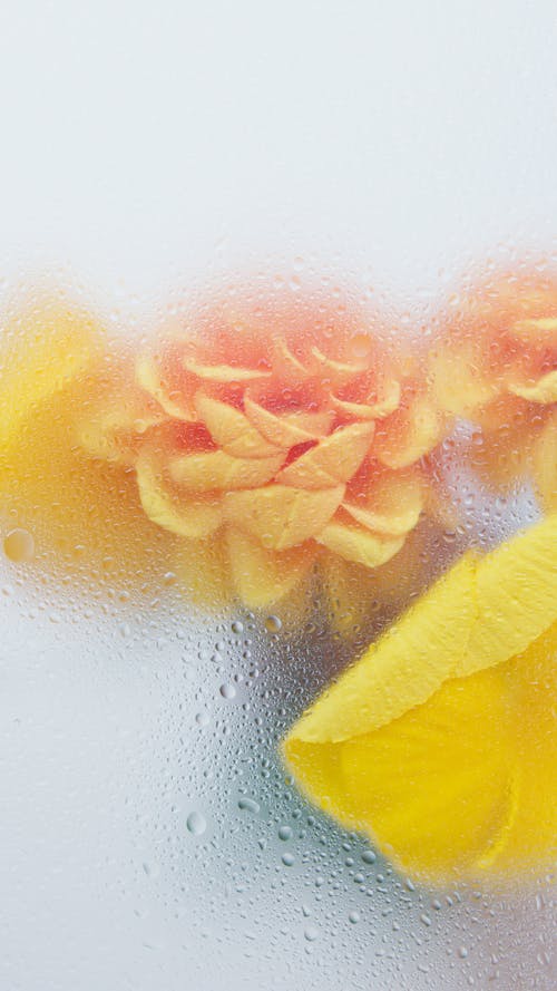 Photograph of Orange and Yellow Flowers Near a Glass with Water Droplets