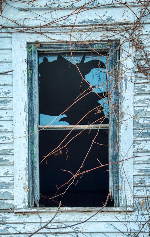 Bezpłatne Darmowe zdjęcie z galerii z okno, opuszczony, pionowy strzał Zdjęcie z galerii