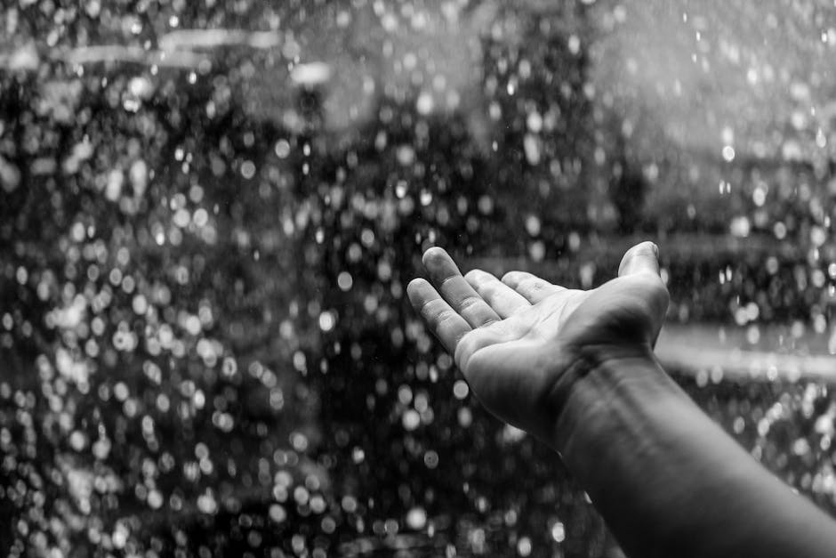 black-and-white, hand, person