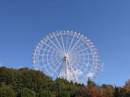 A White Ferris Wheel