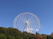 A White Ferris Wheel