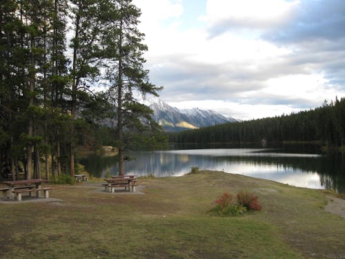 Gratis stockfoto met banff national park, banken, bomen