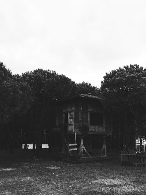 Free Black and white photo of a rustic wooden cabin surrounded by trees. Stock Photo