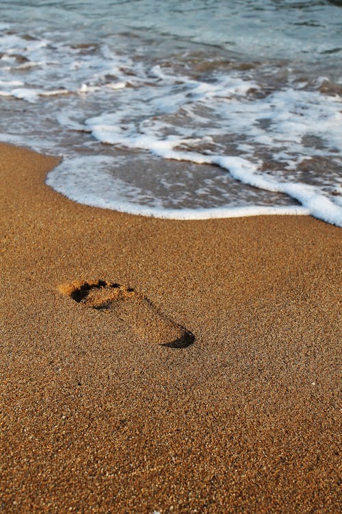 Gratis Immagine gratuita di impronta, litorale, sabbia Foto a disposizione
