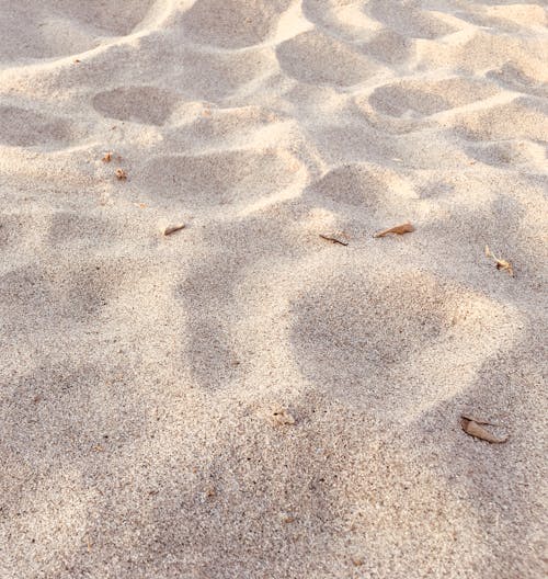 Close-Up Shot of Beach Sand