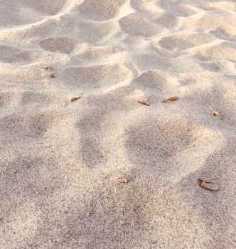 Detailed close-up of sand texture with natural patterns captured on a beach in daylight.