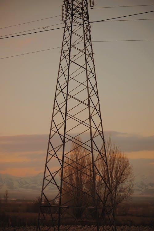 Silhouette of an Electric Post