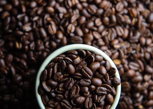 Brown Coffee Beans on White Round Container