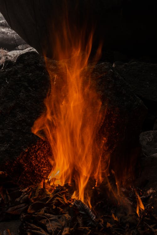 Gratis stockfoto met brand, brandend, gedroogde bladeren