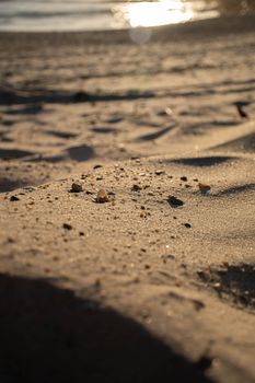 Detailed close-up of sand with small shells and pebbles on a sunlit beach.