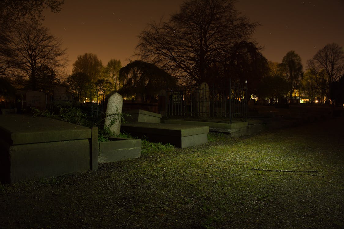 Free Cemetery at Night Stock Photo