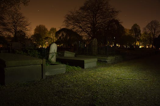 Free stock photo of night, dark, halloween, horror