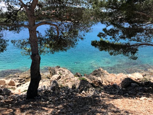 Free stock photo of adriatic sea, beach, beach rocks