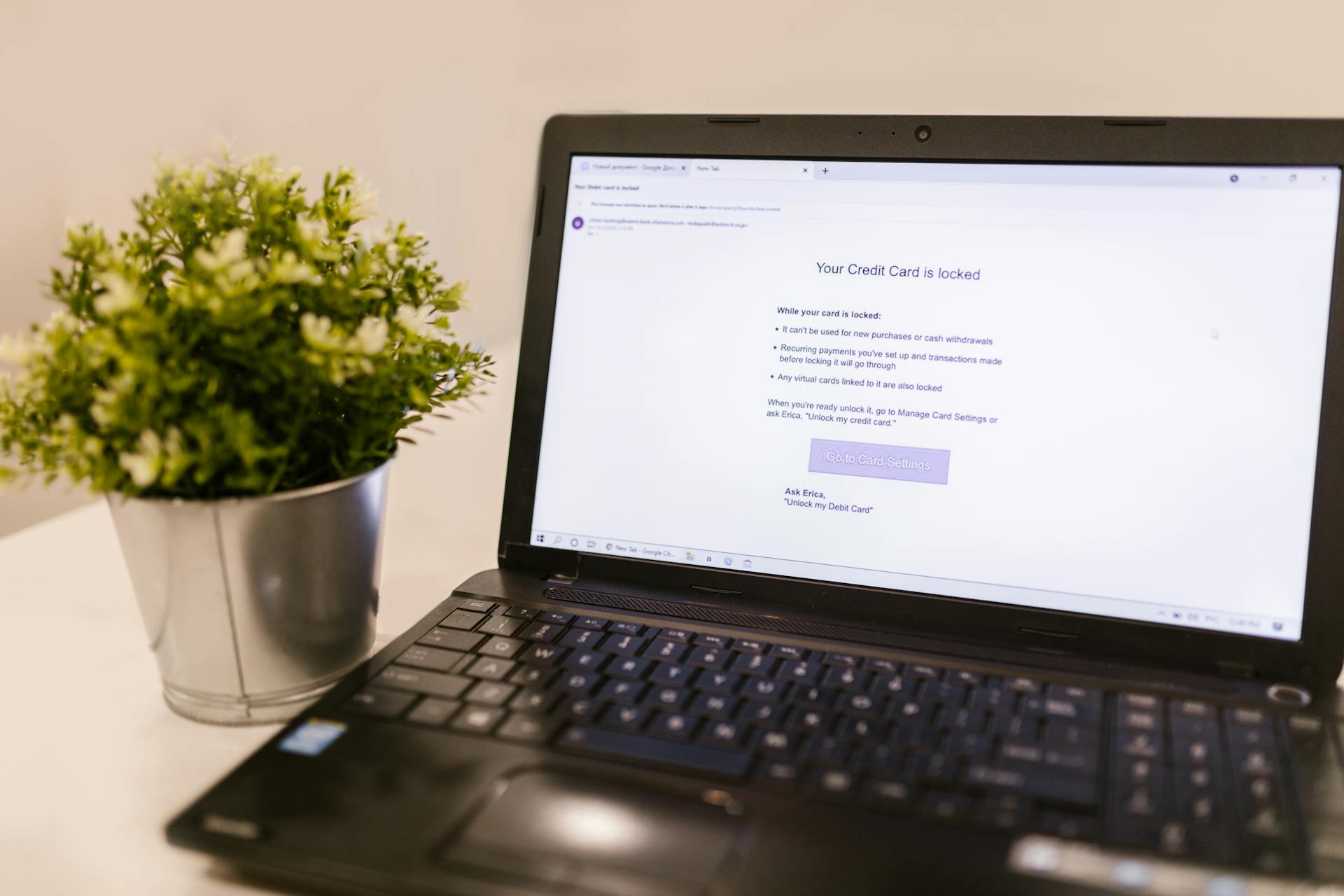 A close-up of a laptop screen showing a credit card security notification next to a potted plant.