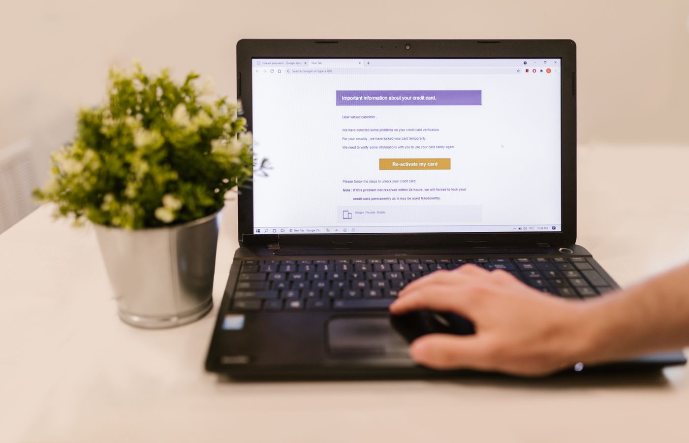 Person using a laptop to read an email indoors beside a potted plant.