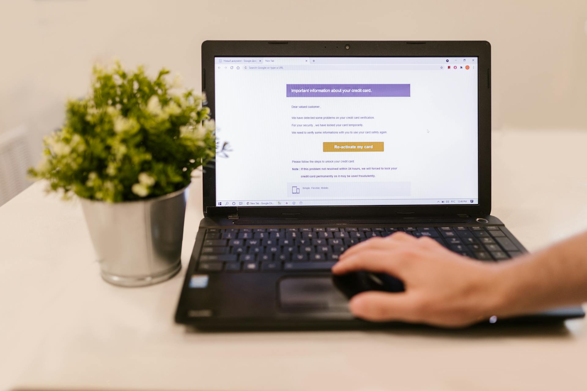 Person using a laptop to read an email indoors beside a potted plant.