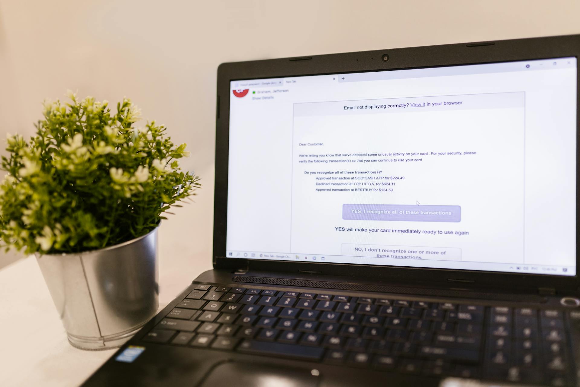 Laptop showing email next to green plant, ideal for tech and productivity concepts.