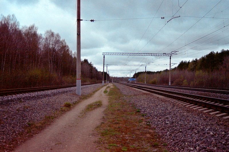 Serene view of railroad tracks stretching through a peaceful countryside landscape.