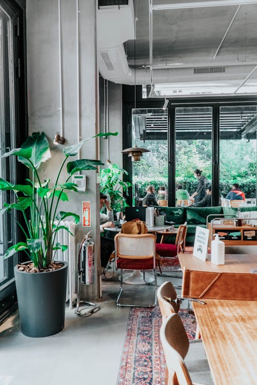 Brown Wooden Chair Near Green Potted Plant