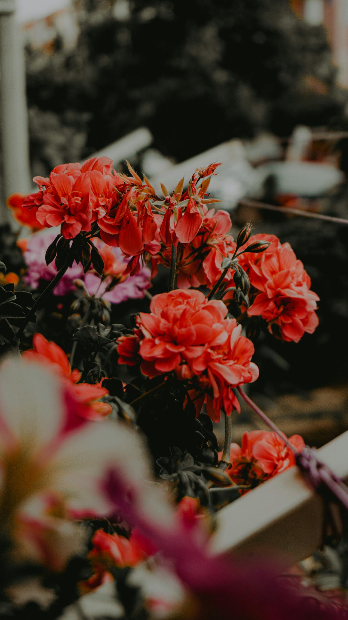 Нотариальная печать и документы