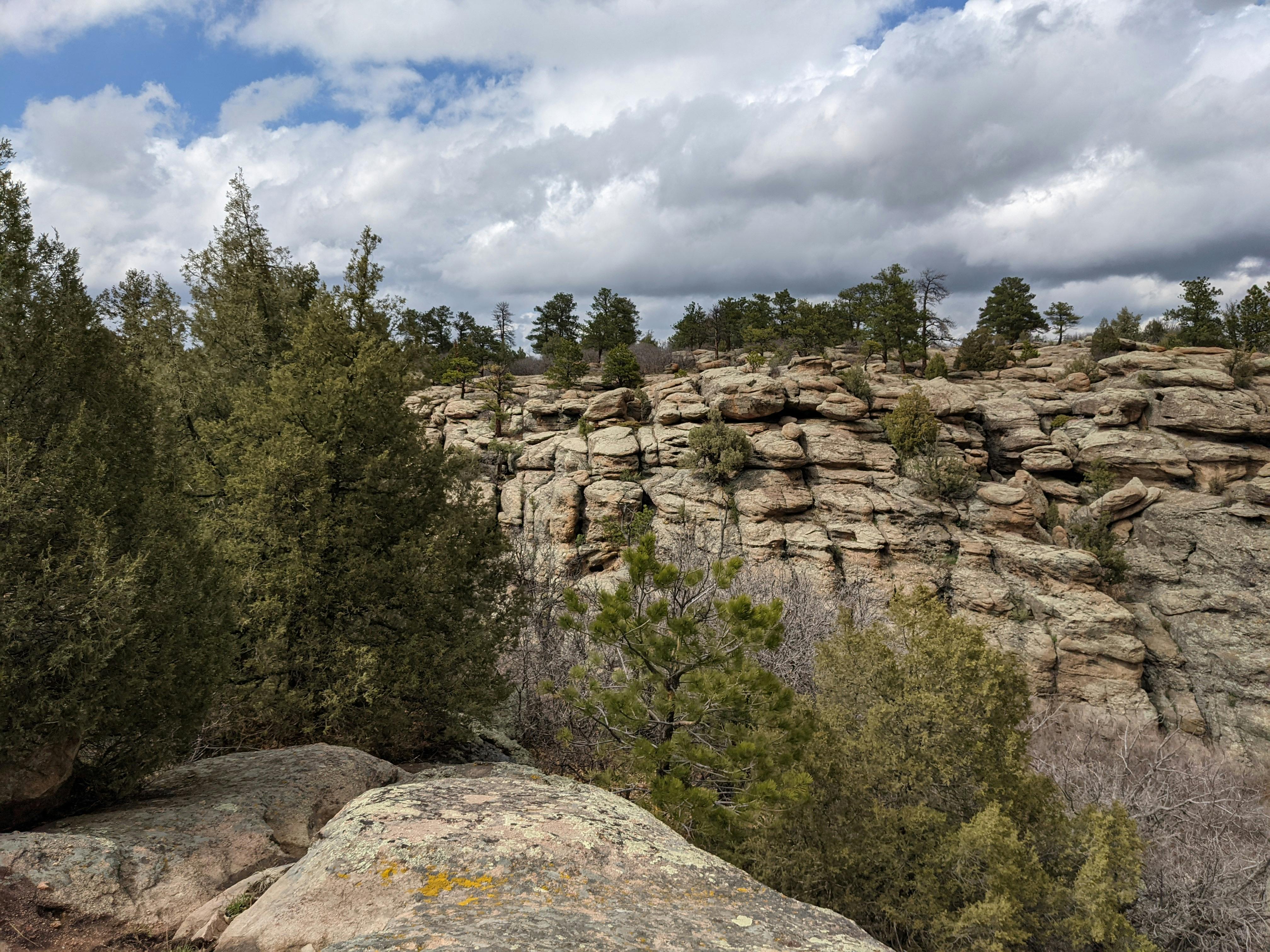 Breathtaking view of rocky formations and forest in Castle Rock, Colorado.