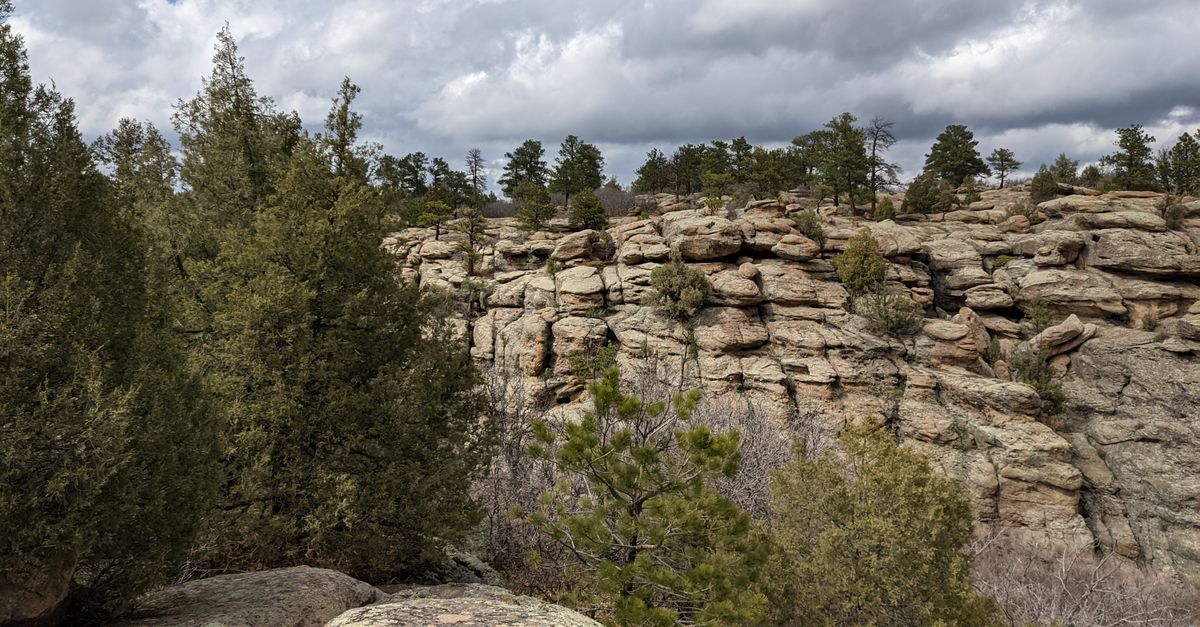 Breathtaking view of rocky formations and forest in Castle Rock, Colorado.