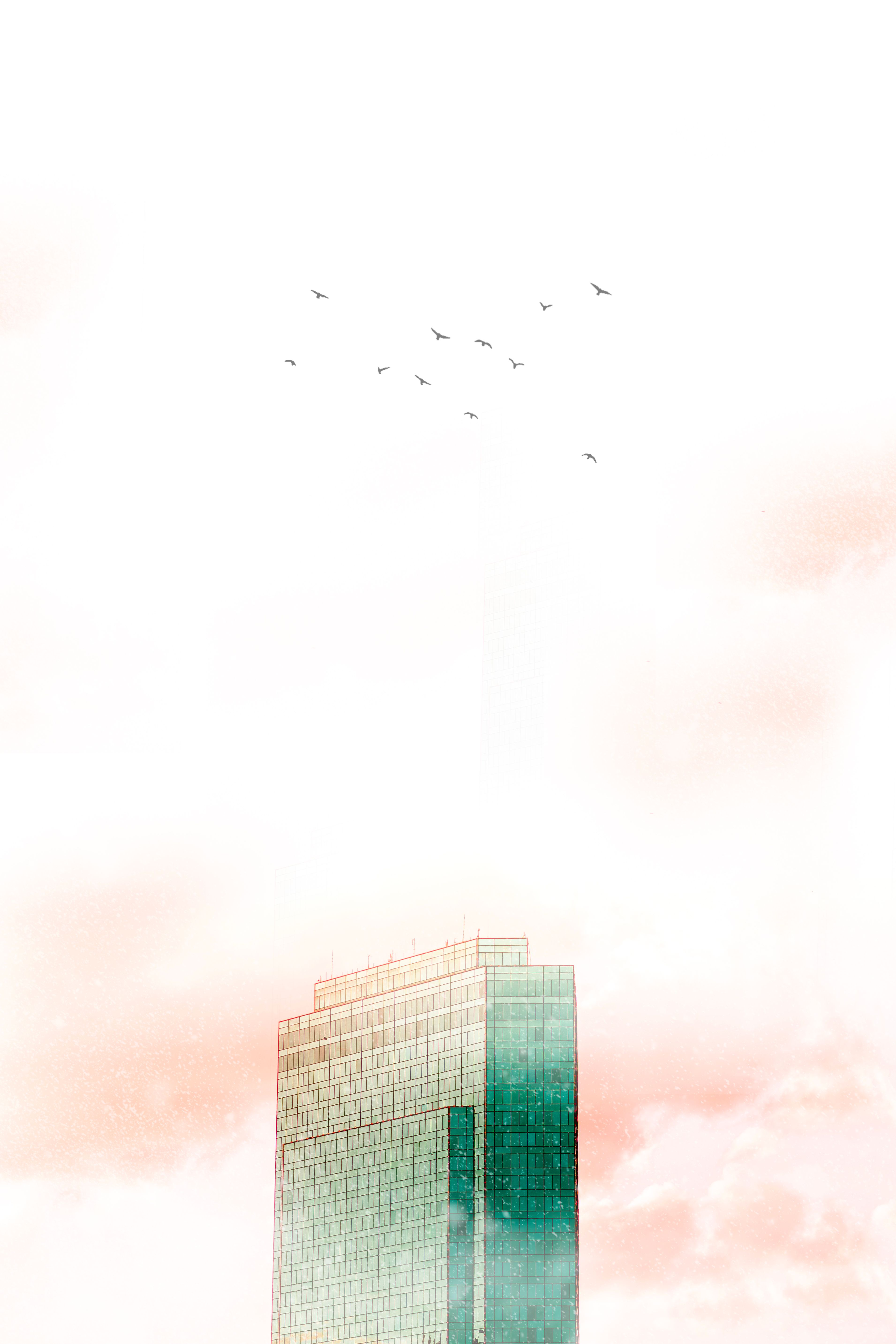 A modern skyscraper in Fort Worth, TX with birds flying above against a vibrant sky.