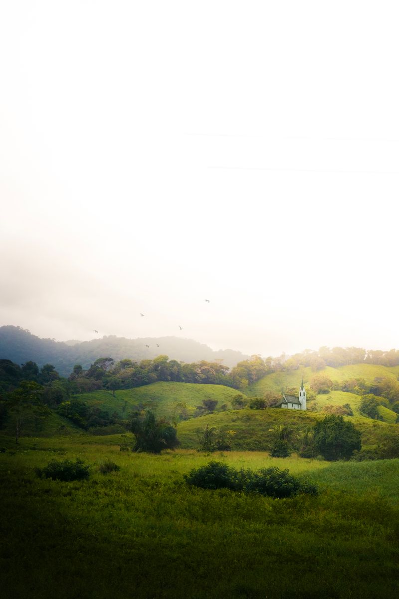 Green Panama landscape