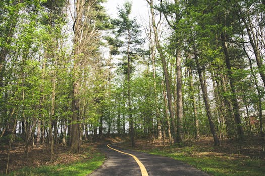 pexels photo 7823012 Outdoor Cardio: Exciting Ideas for Running, Hiking, and Biking Adventures